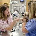 Dr. Juli Gunter, left, and veterinary technologist Michela Koppens perform a skin test on a canine patient. A skin test is the first step in administering allergy therapy, which is used when pets with flea or environmental allergies do not respond to basic treatments. (Photo by MSU College of Veterinary Medicine/Tom Thompson)