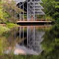 Pavilion surrounded by trees