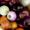 Different color of onions. 