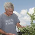 Blueberry grower George Traicoff examines some of his DeSoto County acreage on June 12, 2013. Cooler spring temperatures delayed his crop on the Nesbit Blueberry Plantation, which will open to the public about June 25. (Photo by MSU Ag Communications/Kat Lawrence)