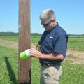 Mississippi Boll Weevil Management Corp. representative Mike Mullendore checks one of the cone-shaped traps located near a Mississippi State University research field on June 27, 2017. The traps evolved from U.S. Department of Agriculture research at the Robey Wentworth Harned Laboratory, commonly known as the Boll Weevil Research Lab at MSU. (Photo by MSU Extension Service/Linda Breazeale) 