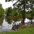 Flood waters from the Mississippi River cover this Warren County soybean field north of Vicksburg, Mississippi, on June 2, 2017. Recent excess rains and river flooding have some corn, cotton and soybean fields under water. (Photo by MSU Extension Service/Susan Collins-Smith)