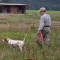 Man walks beside his bird dog on point in a pasture with a hay barn in the background.