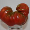 A mostly red tomato is shaped almost like the letter “U.”