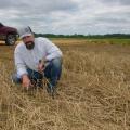  A man in a hat kneels among straw to point at tiny plants.