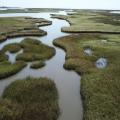 Salt marshes and water
