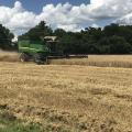 A piece of green farm machinery moves through a wheat field.