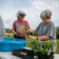 Two women work with potted plants outdoors.