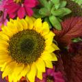 Floral enthusiasts and professionals can learn to make arrangements like this one during five hands-on floral design workshops this summer offered by Jim DelPrince, floral design specialist with the Mississippi State University Extension Service. (Photo by MSU Extension Service/Jim DelPrince)