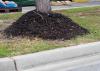 A tall, thick layer of mulch around the base of a tree.