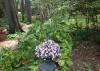 Purple flowers bloom from a container at the center of a garden.