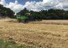 A piece of green farm machinery moves through a wheat field.